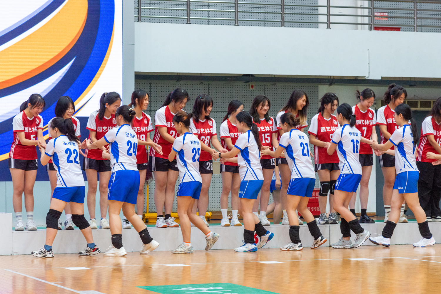 頒獎儀(yi) 式動科動醫學院女子排球隊與(yu) 園藝林學學院女子排球隊握手致意(學通社記者 魏雨城 攝)