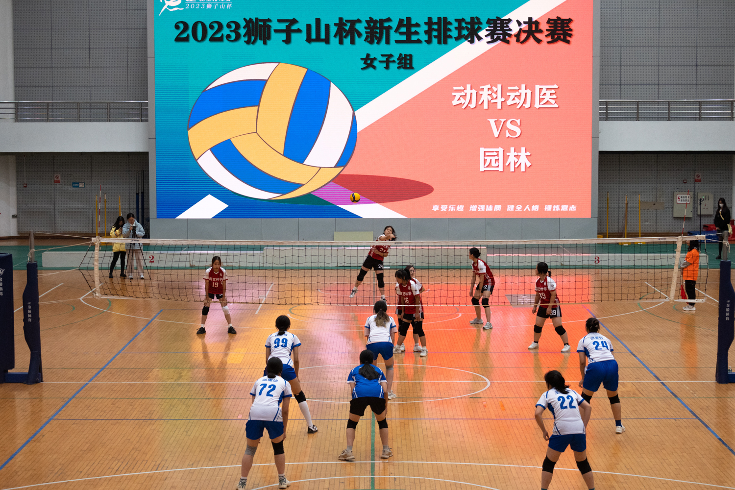 園藝林學學院24號施崚琦發球瞬間（學通社記者 張湛琦 攝）